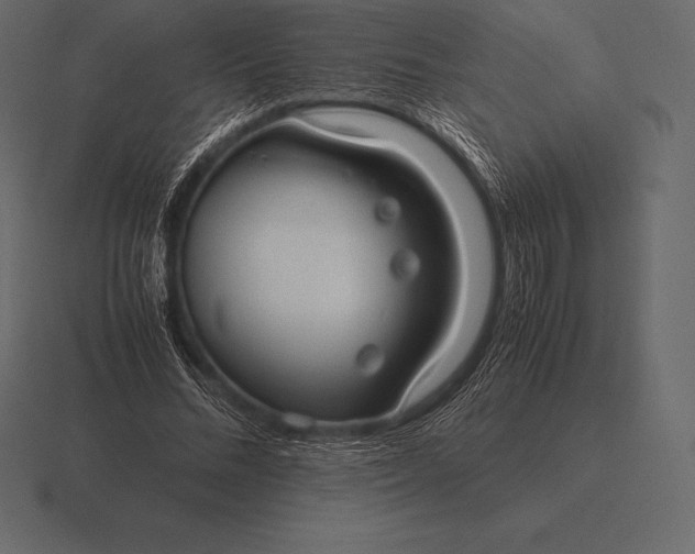 X0000116560684200912241615