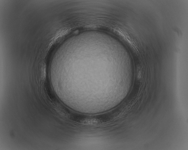 X0000116560685200912241615