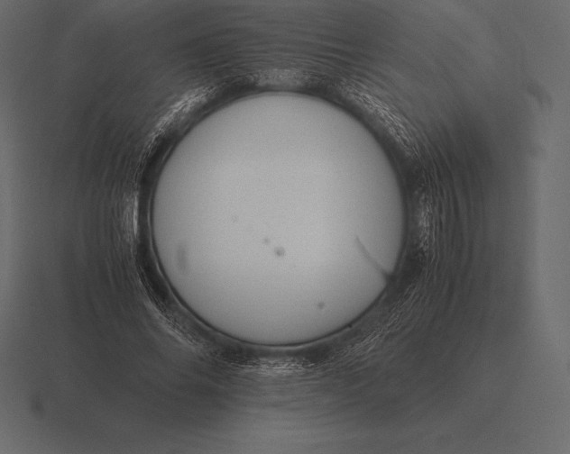 X0000116560686200912241615