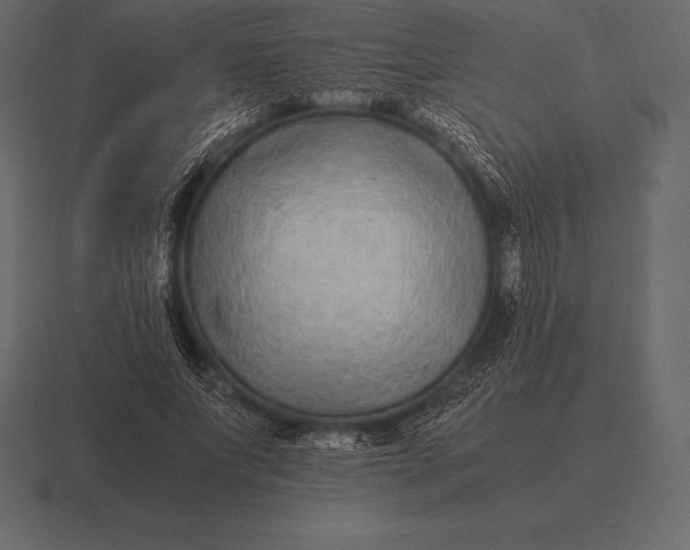 X0000116560687200912241615