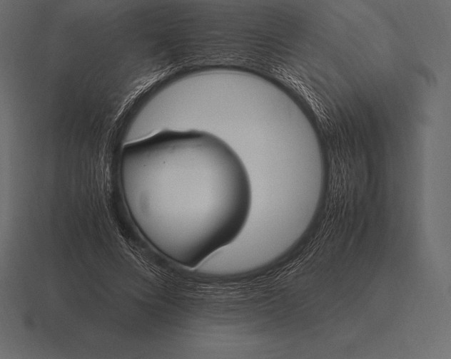 X0000116560688200912241615