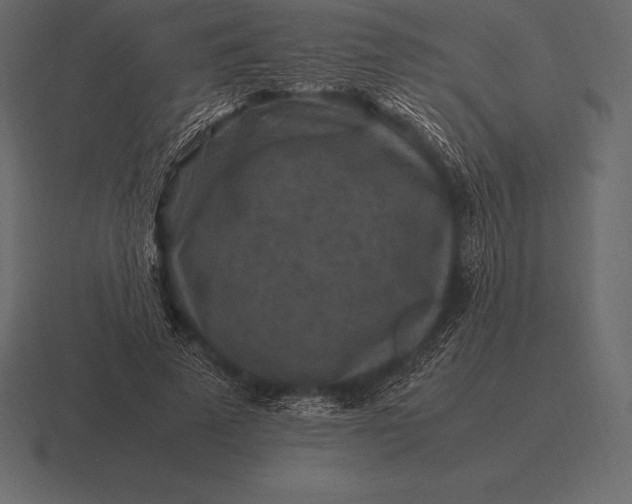 X0000116560689200912241615