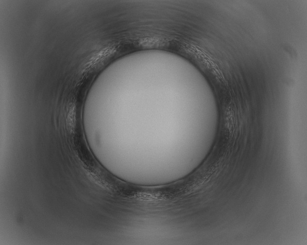 X0000116560690200912241615