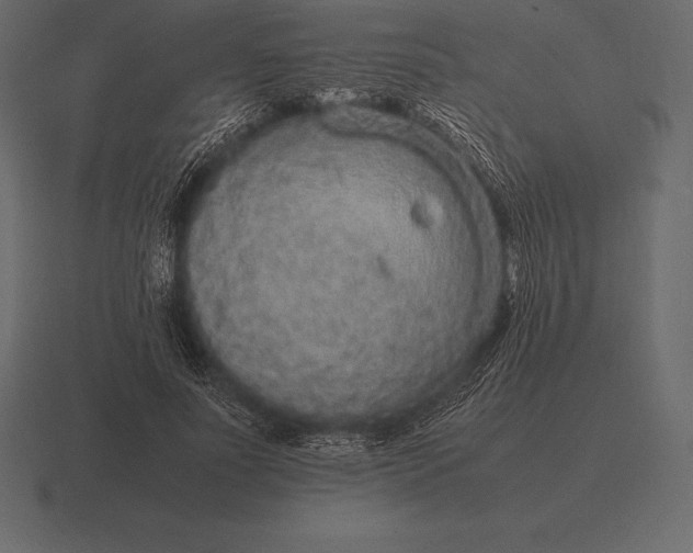 X0000116560691200912241615