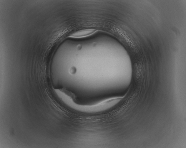 X0000116560692200912241615