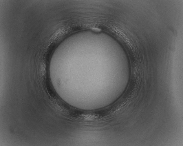 X0000116560693200912241615