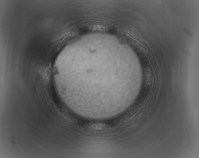 X0000116560695200912241615