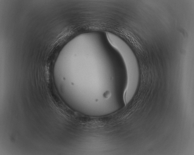 X0000116560696200912241615