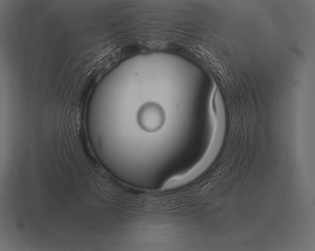 X0000116560697200912241615