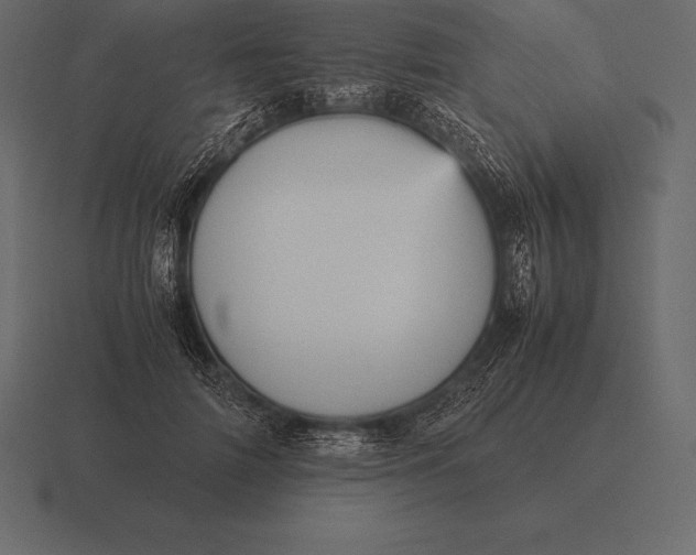 X0000116560698200912241615