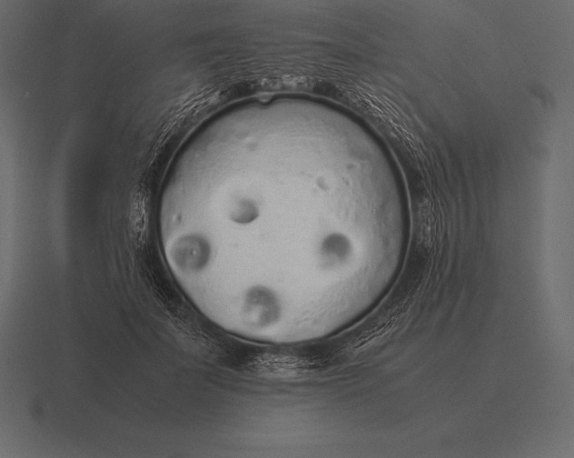 X0000116560699200912241615