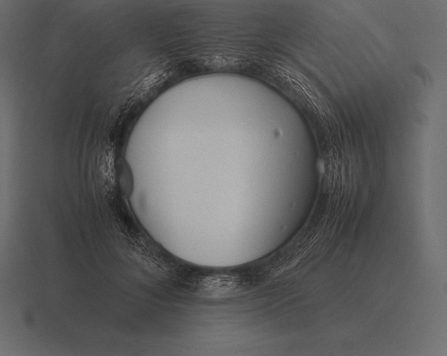 X0000116560700200912241615