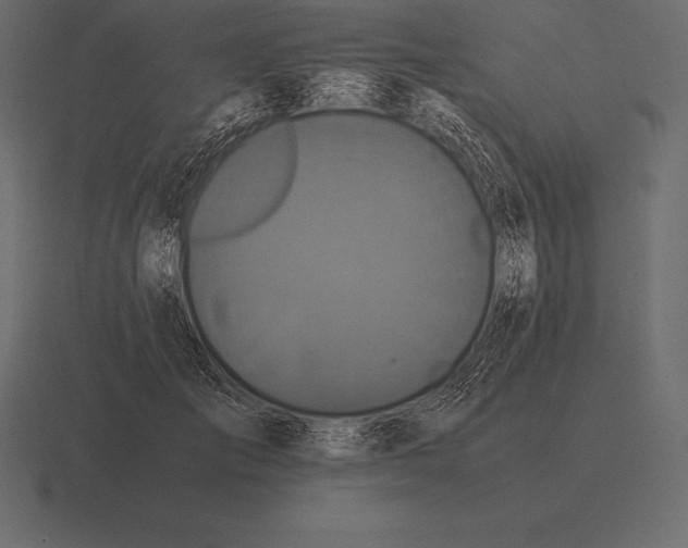 X0000116560701200912241615