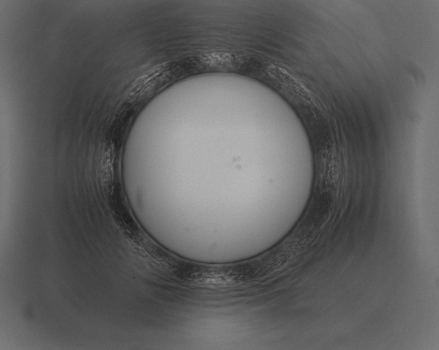 X0000116560702200912241615