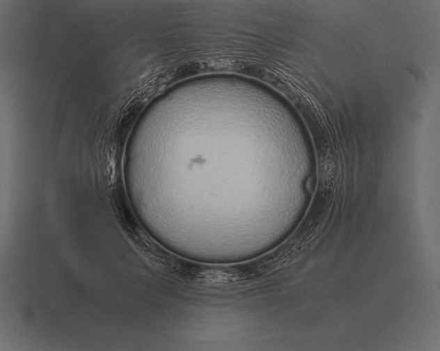 X0000116560703200912241615