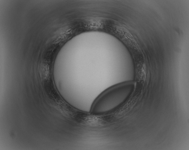 X0000116560704200912241615