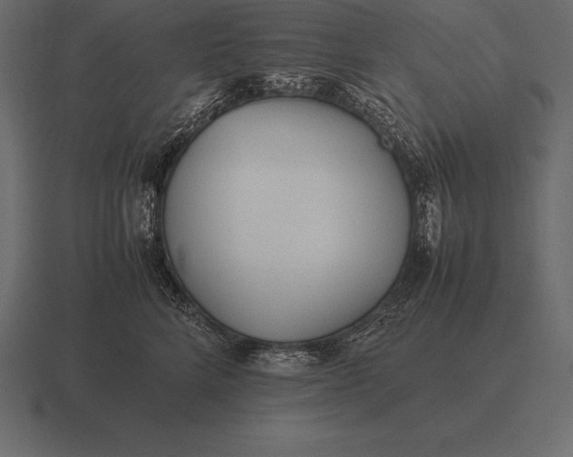 X0000116560712200912241615