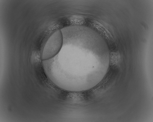 X0000116560713200912241615