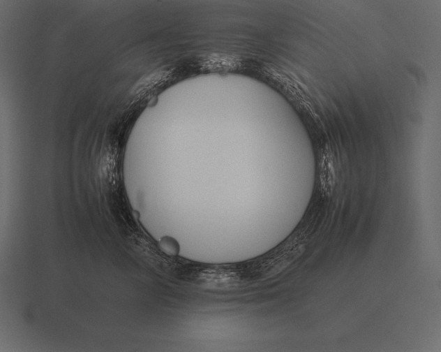 X0000116560714200912241615