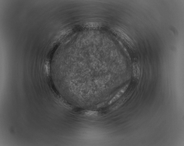 X0000116560718200912241615