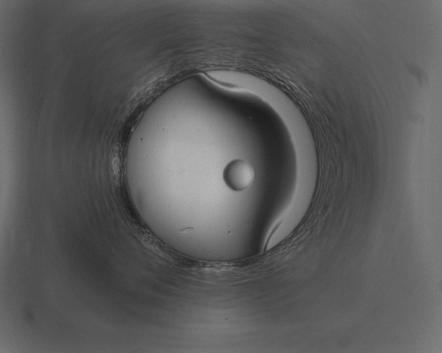 X0000116560720200912241615