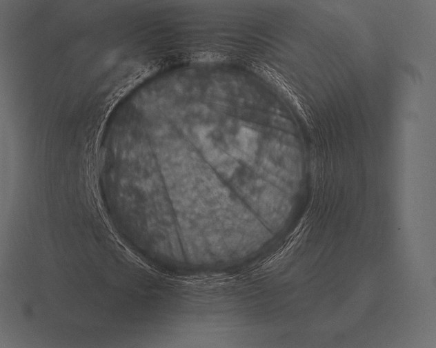 X0000116560721200912241614