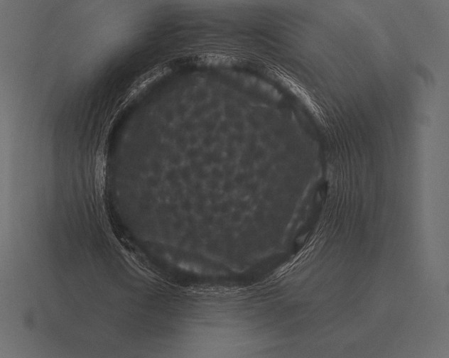 X0000116560722200912241614