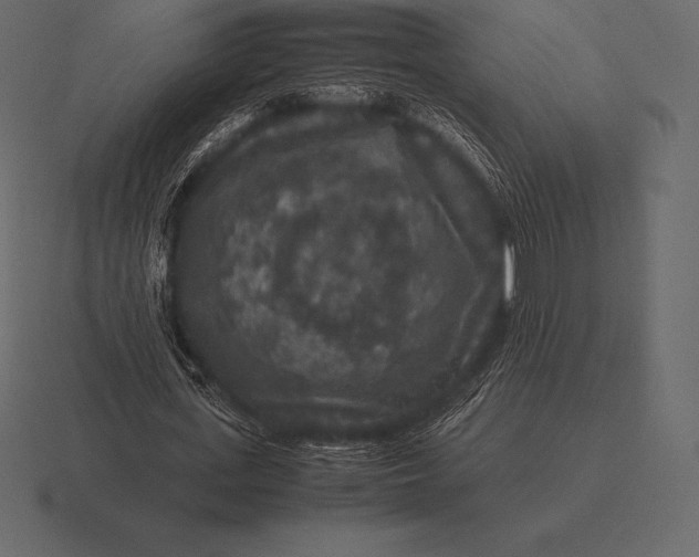 X0000116560723200912241614