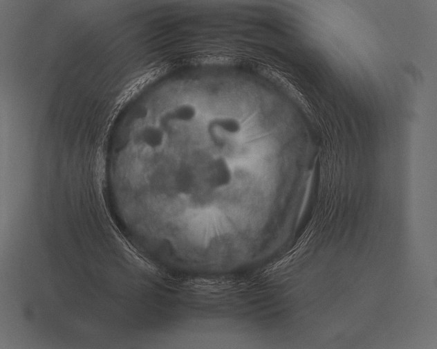 X0000116560725200912241614