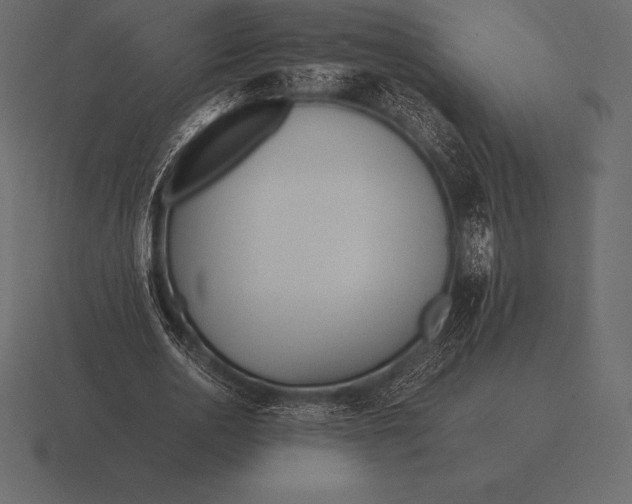 X0000116560726200912241614