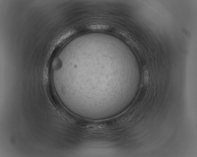 X0000116560727200912241614