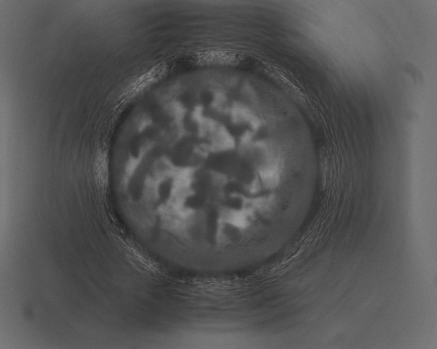 X0000116560729200912241614