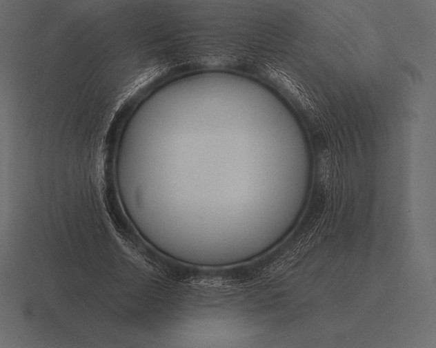 X0000116560730200912241614