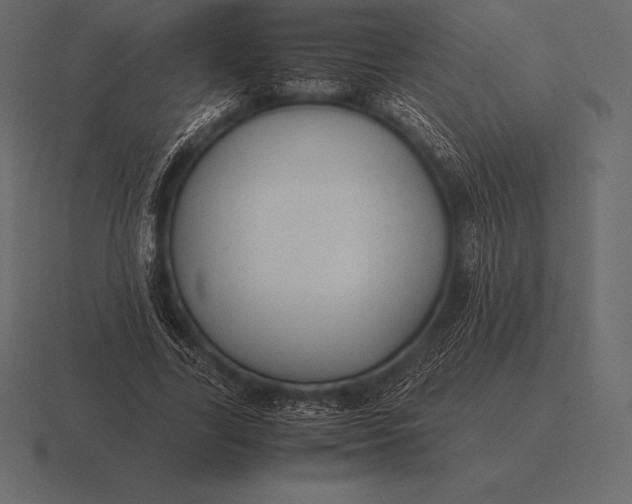 X0000116560731200912241614