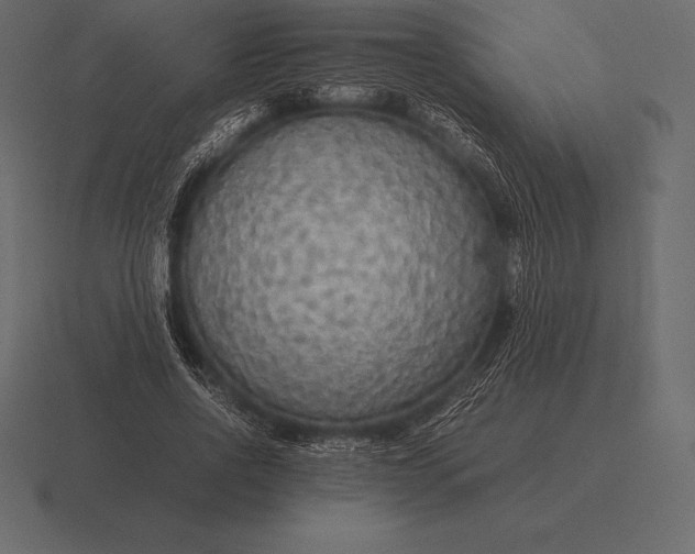 X0000116560734200912241614