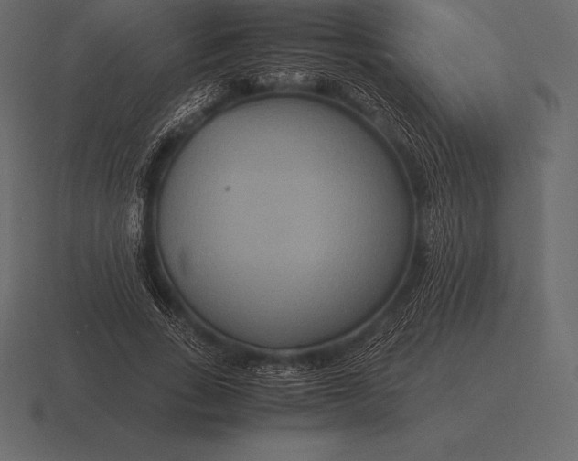 X0000116560735200912241614