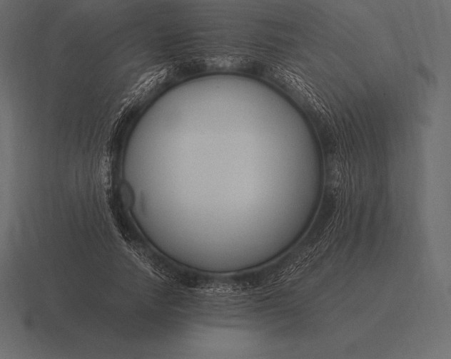 X0000116560738200912241614