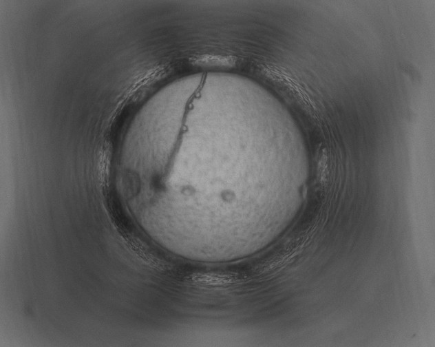 X0000116560739200912241614