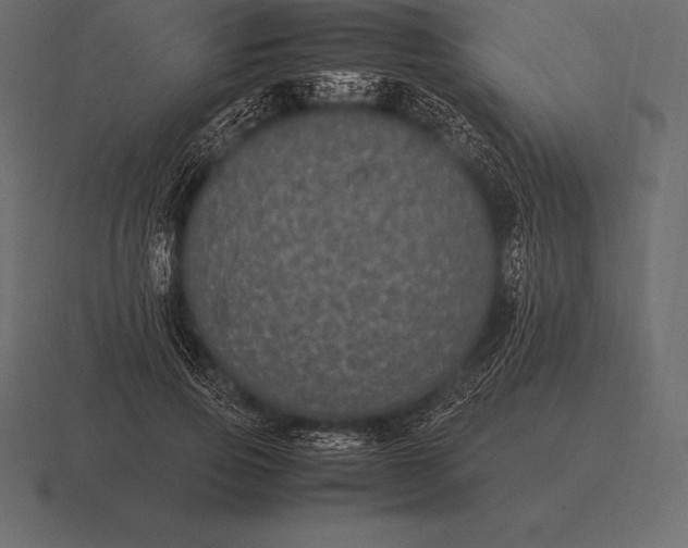 X0000116560741200912241614