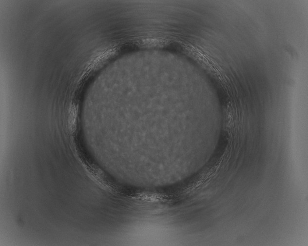 X0000116560742200912241614