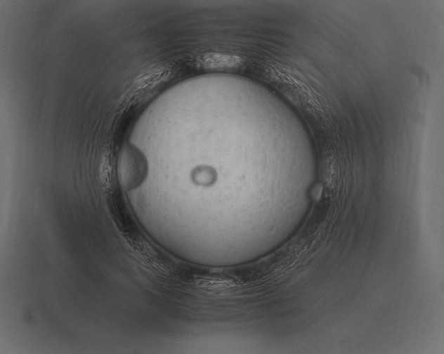 X0000116560743200912241614