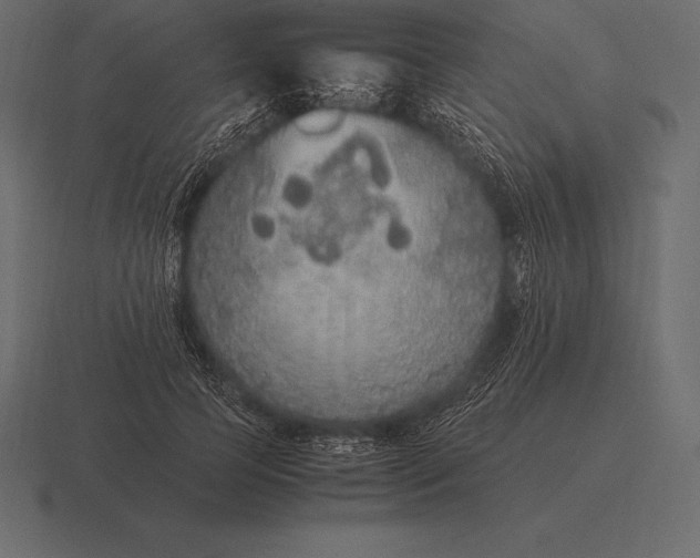 X0000116560745200912241614