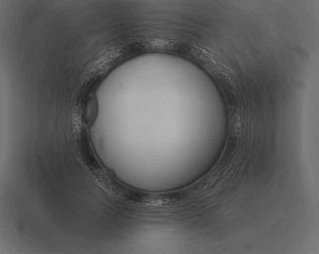 X0000116560746200912241614