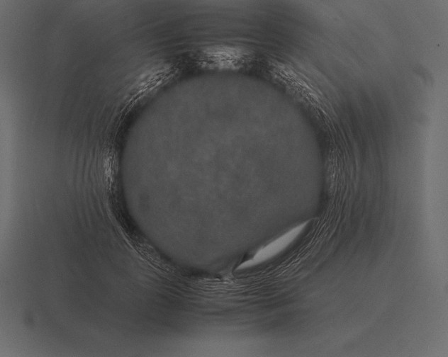 X0000116560747200912241614