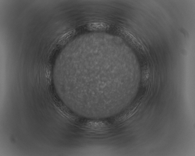 X0000116560749200912241614