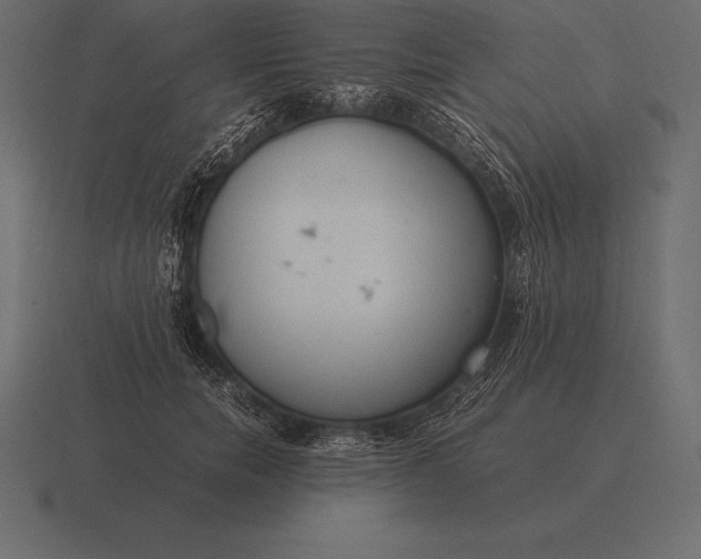 X0000116560750200912241614