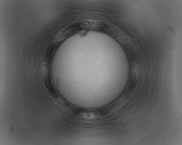 X0000116560751200912241614