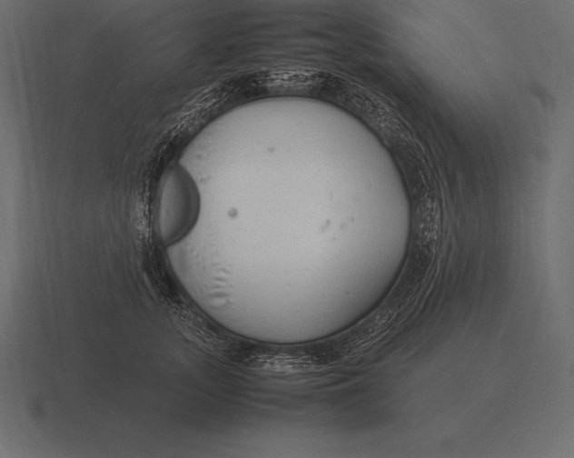 X0000116560755200912241614