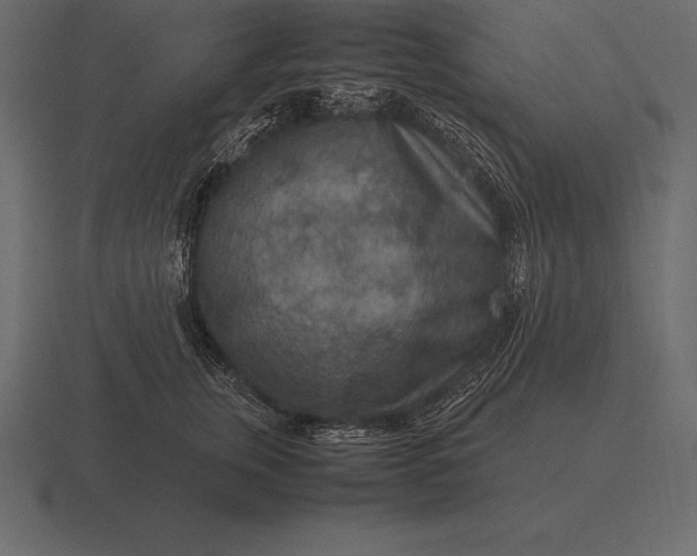 X0000116560759200912241614