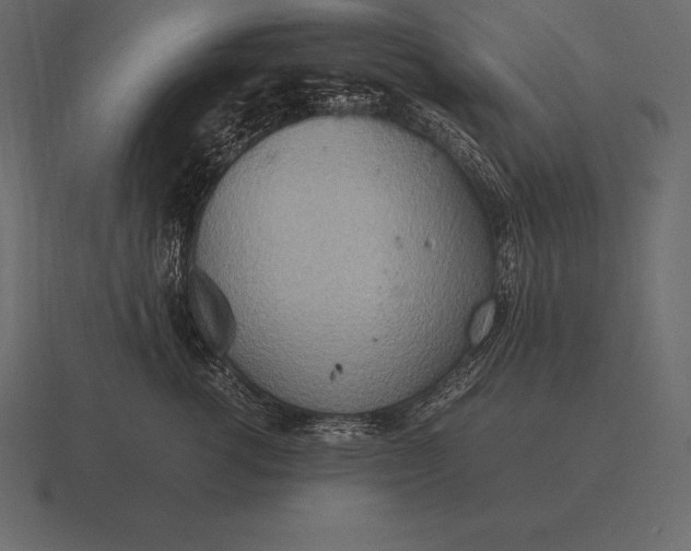 X0000116560762200912241614